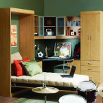 Need a guest room? Get a Murphy Bed!